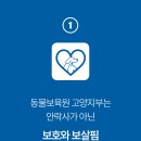 동물보육원 이미지