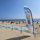 비치 아이뉴스24