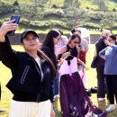 새마음연합의원 이미지