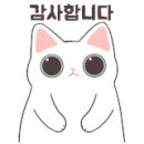 그루밍캣 압구정점 이미지