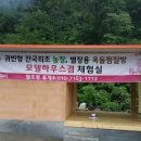 옥석농장 이미지