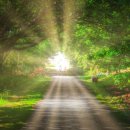 평화로09 이미지