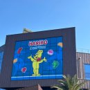 해피동물약국 | 아기랑 제주 실내 가볼만한 곳 하리보 해피월드 할인 장단점