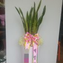 서동카센타 이미지