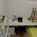 스테이 오늘 이미지