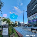 다정동_가온8단지앞상가(페스티발2) | 세종시 다정동 중심상권 둘러보기