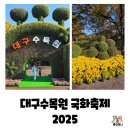 금호작은도서관 | 3대가 함께한 대구수목원 국화축제 2025 주말 방문 후기(개화상황, 주차팁, 숨은 명소 도서관추천)