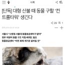 [단독] 대형 산불 때 동물 구할 '컨트롤 타워' 생긴다 이미지