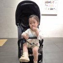 초은다방