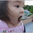 해천삼계탕 이미지