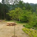 The 休 이미지