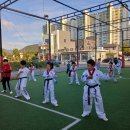용인대 블랙벨트 태권도장 | 홍천 용인대블랙벨트태권도장 방문 후기