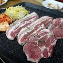 바로고기 Daum카페