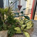 진달래노래방 이미지