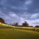 대박펫살롱 이미지