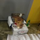 오땅비어 - 광명시 충현로 2 | <오땅비어 솔직한 후기~>소하동맛집/소하동술집/스몰비어