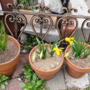 금모래어린이집 이미지