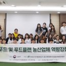 로컬플랜 머니투데이