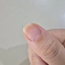 자몽네일 | [오호라 네일강화제] 글레이즈드 라인 포도&자몽 컬러 솔직 후기