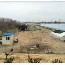 삼례토종닭 이미지