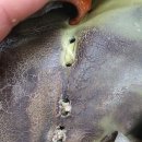 케어랜드 이미지