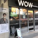 와우(wow)왁싱
