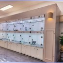 함께 있어줄개 이미지