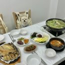 동해물곰식당 | 속초 곰치국 맛집 속초동해 물곰탕 아침식사 가능 애견동반 식당