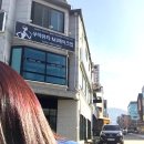 도계살롱 | 충주미용실추천 / 살롱드도로시 / 가을염색