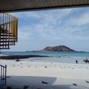 달카페&레스토랑 이미지