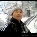 조대체육관 이미지