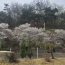 구름(GURMM) 네이버블로그