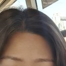 스칼프디자인센터 홍대점 | [홍대입구] 헤어스트록 눈썹 스칼프디자인센터 홍대점 - 내돈내산 리터치 4개월 뒤 솔직 후기