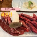 경기도 수원시 장안구 경수대로994번길 이미지