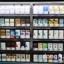 곰마을민박 이미지