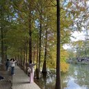 궁무인호텔 | 🌳 중국 난징 여행 코스 명효릉 방문기 남경 필수 추천 명소