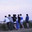 오일사