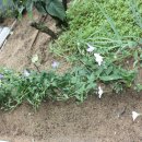 이화농원 이미지