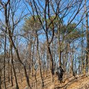 (주)남청주양지주유소 | 금북정맥 황골 도로~덕고개~국수봉~차령 고개