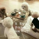 빵긋 이미지