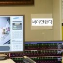 비포블루밍