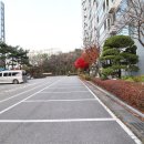 쉐르빌공인중개사사무소 네이버블로그