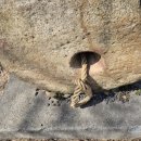 면목동 생명중앙교회 앞 | 사순절 절두산성지 순례 후기 – 서울 도심 속 순교의 자리