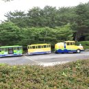 태종대 전망대 이미지