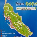 6/20~21/바다위 비밀의정원 쑥섬과 지붕없는 미술관 연홍도 윤제림수국축제 이미지