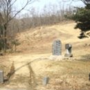 이완 묘 및 정려각 이미지