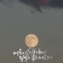 매듭달캘리그라피
