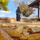 청풍문화재단지 그네 앞 화장실 | [공지] 청풍문화유산단지 - 주차 입장료 제천단풍실시간 제천여행 제천가볼만한곳 제천여행코스