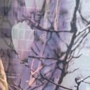 롯데㉵ | 스테고사우르스 브라키오사우르스 다 어디서 왔니?🦖🦕