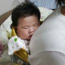 탱고막창 이미지